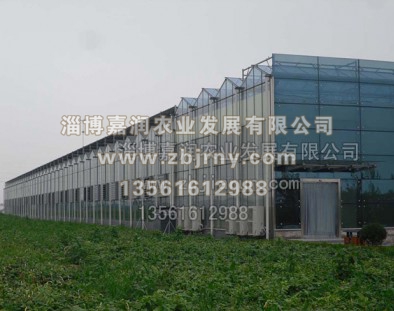 連棟溫室工程